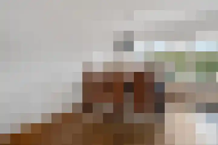 Schakel 2 Coevorden thumbnail 12