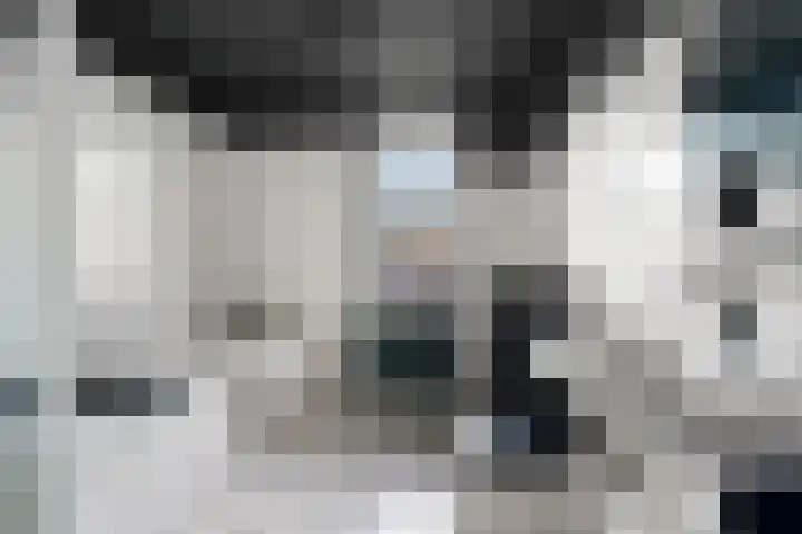 Schakel 2 Coevorden thumbnail 22