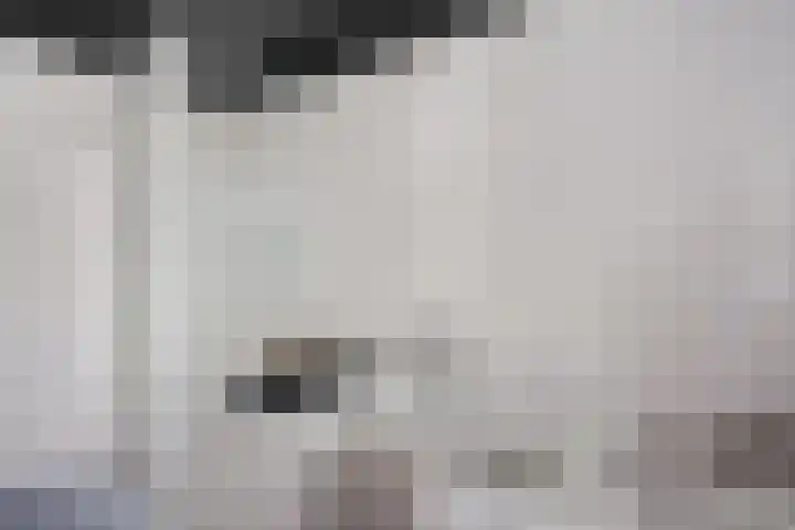 Schakel 2 Coevorden thumbnail 24