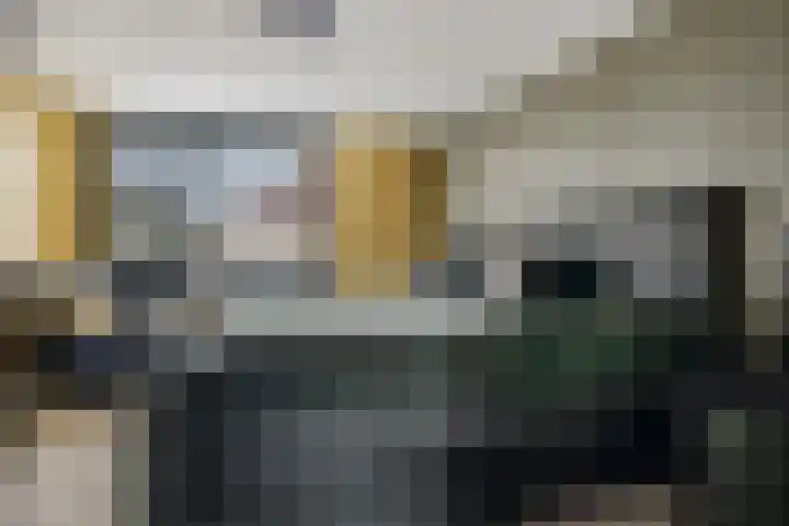 Schakel 2 Coevorden thumbnail 25