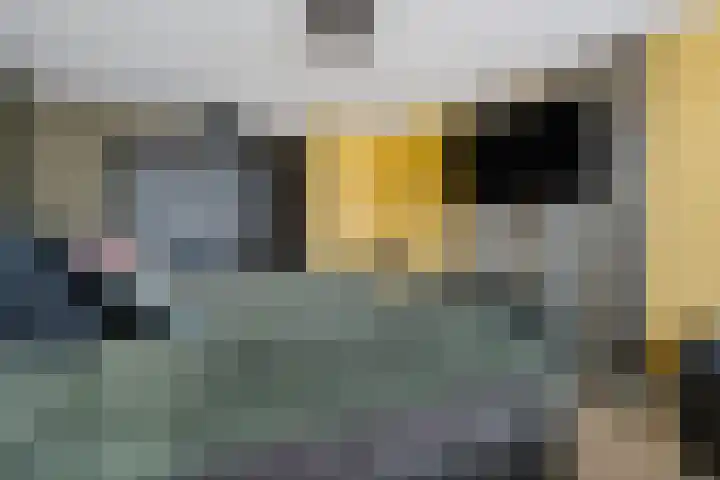 Schakel 2 Coevorden thumbnail 26