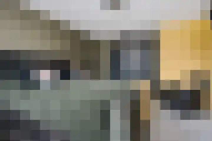 Schakel 2 Coevorden thumbnail 27