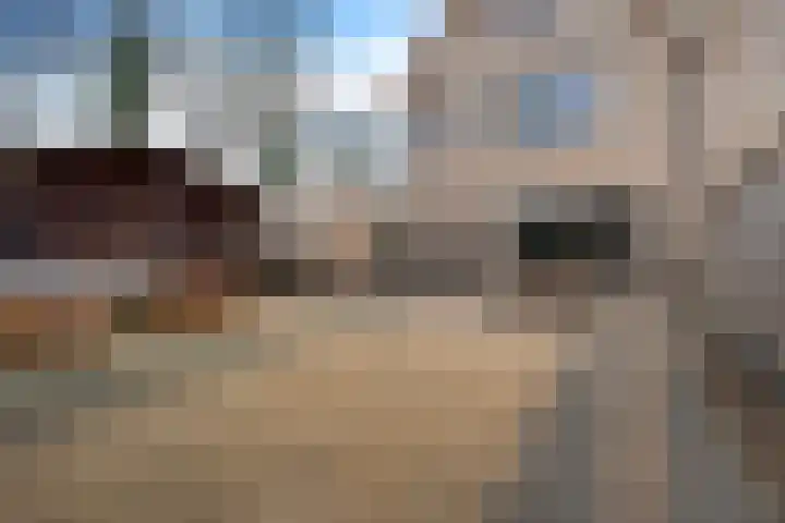 Schakel 2 Coevorden thumbnail 32