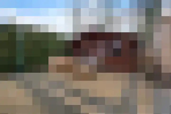Schakel 2 Coevorden thumbnail 33