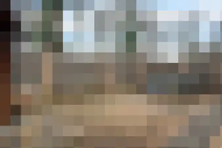 Schakel 2 Coevorden thumbnail 39