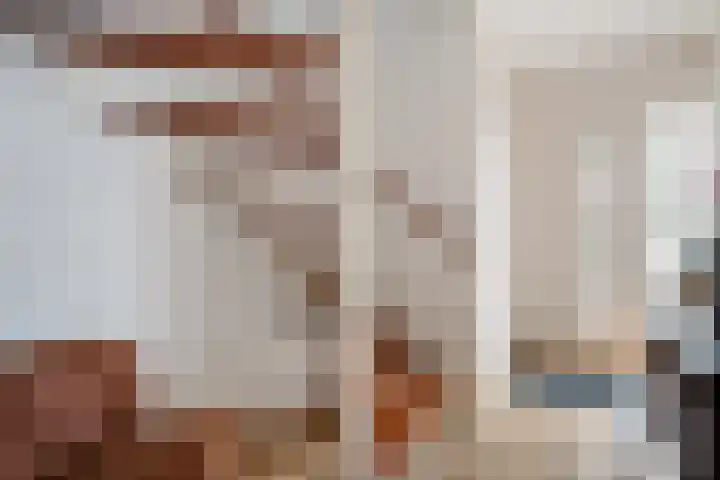 Schakel 2 Coevorden thumbnail 5