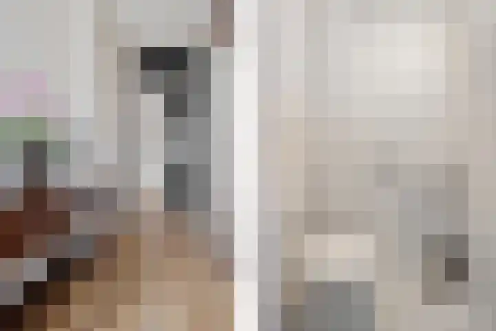 Schakel 2 Coevorden thumbnail 6