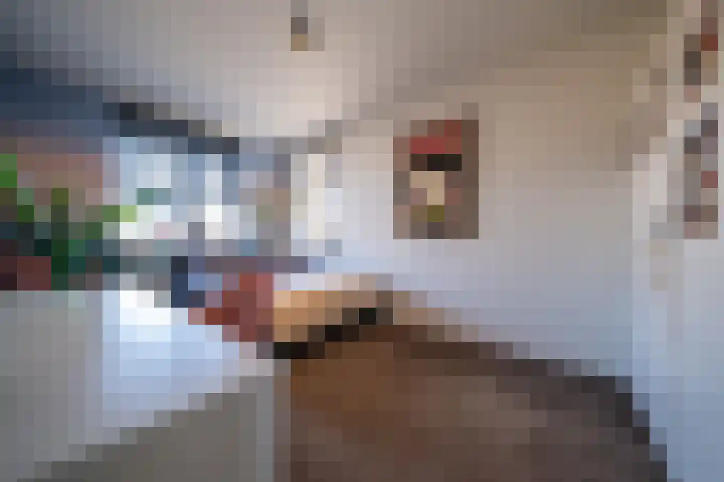 Schakel 20 Vinkeveen thumbnail 15