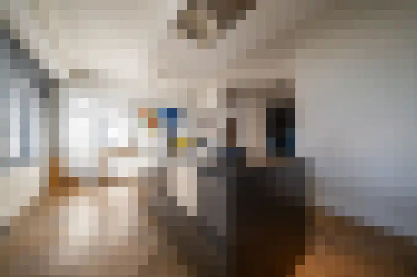 Schakel 20 Vinkeveen thumbnail 9