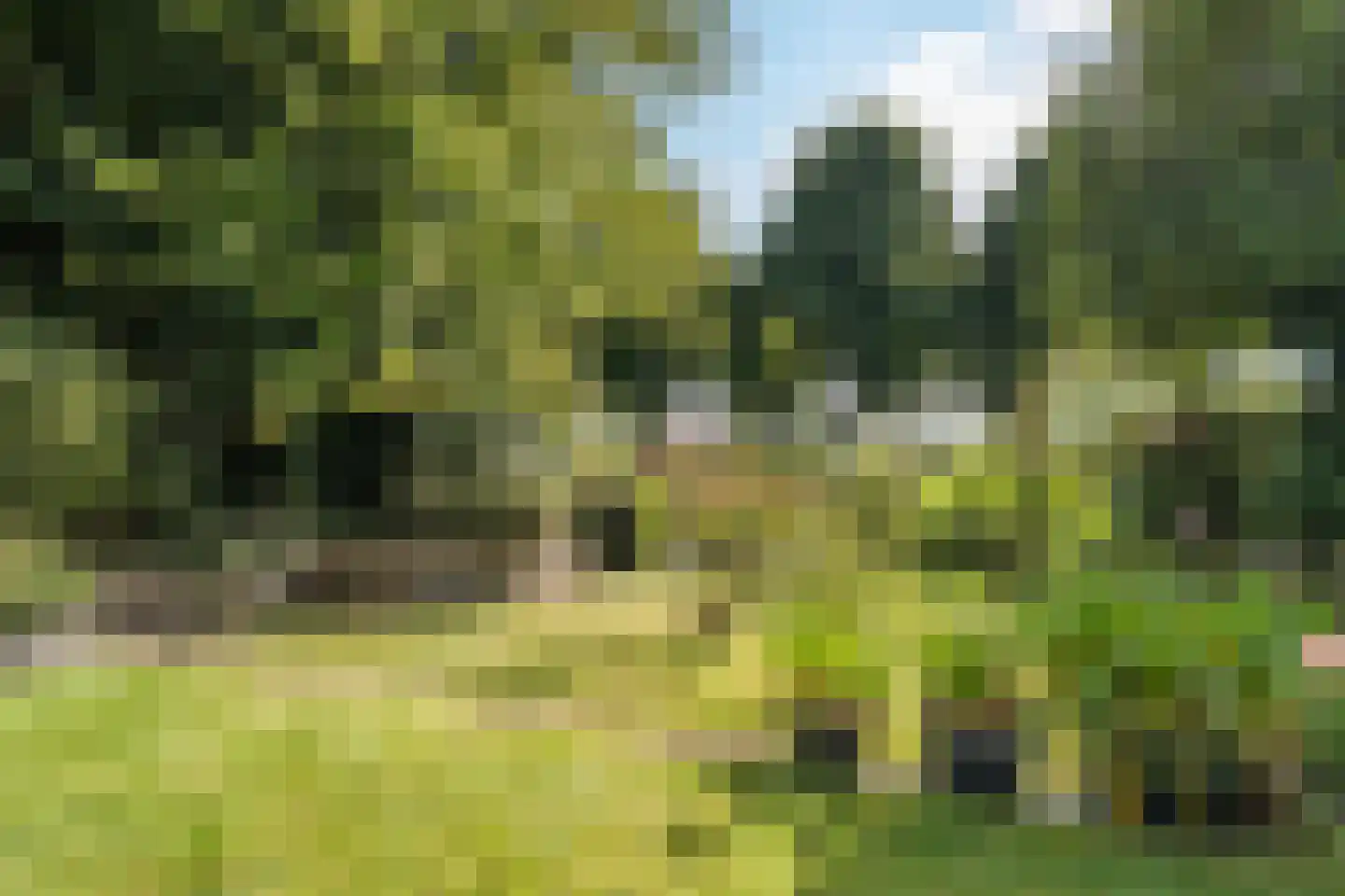 Schakel 51 Loosdrecht thumbnail 12