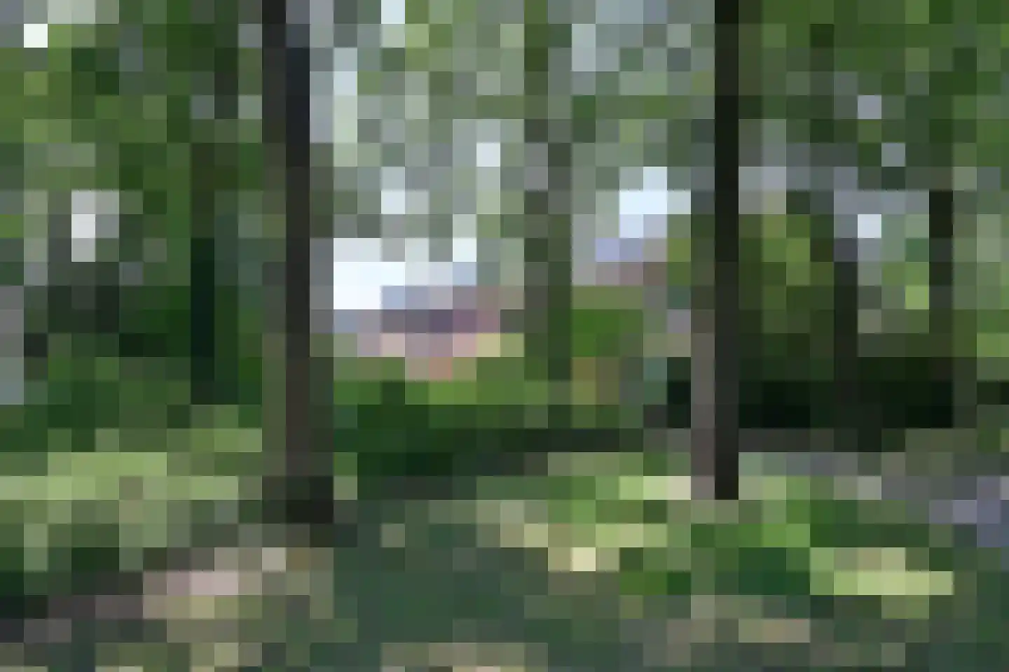 Schakel 52 Loosdrecht thumbnail 18