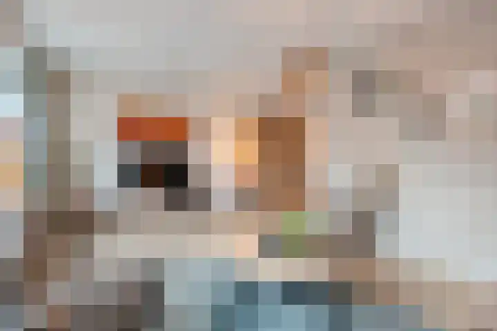 Schakel 7 Coevorden thumbnail 12