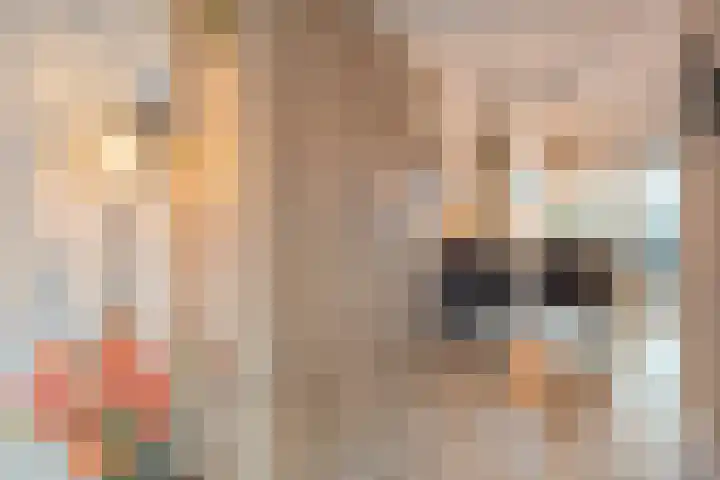 Schakel 7 Coevorden thumbnail 13