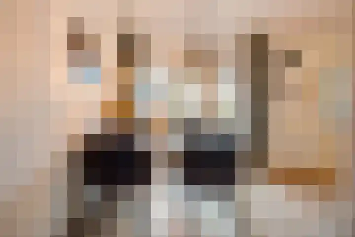Schakel 7 Coevorden thumbnail 14