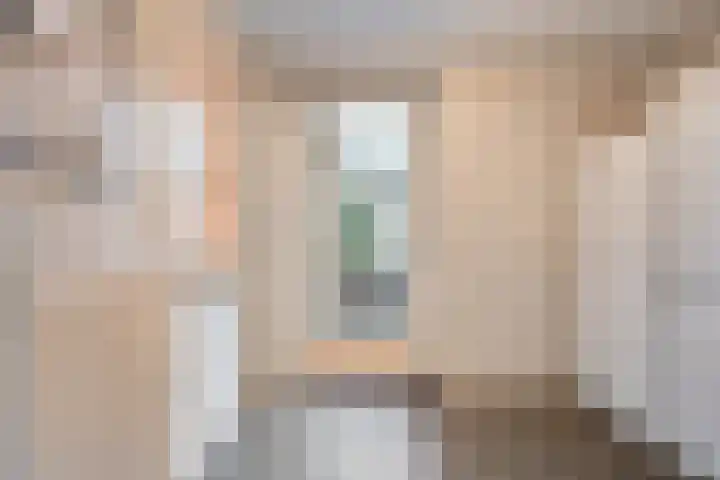 Schakel 7 Coevorden thumbnail 20