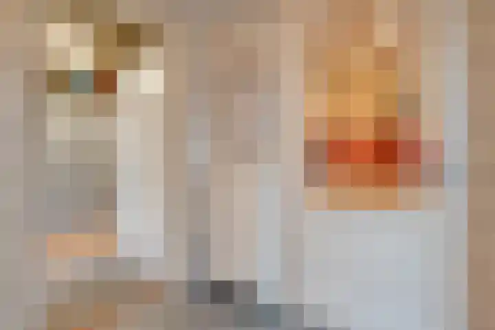 Schakel 7 Coevorden thumbnail 21