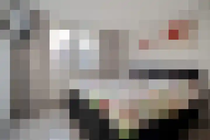 Schakel 7 Coevorden thumbnail 33