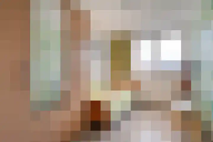 Schakel 7 Coevorden thumbnail 34