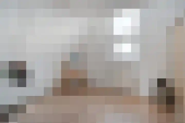 Schakel 7 Coevorden thumbnail 39