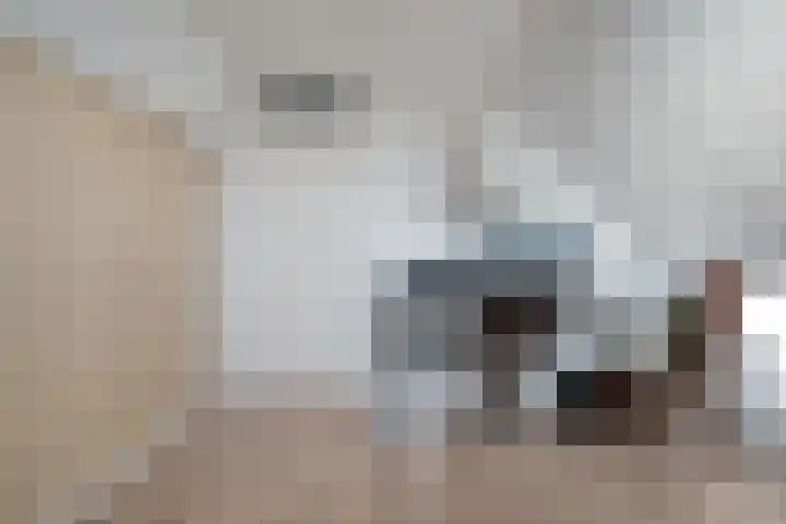 Schakel 7 Coevorden thumbnail 40