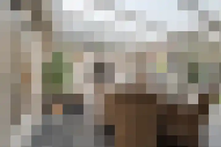 Schakel 7 Coevorden thumbnail 41