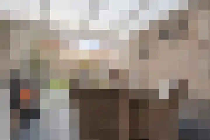 Schakel 7 Coevorden thumbnail 42