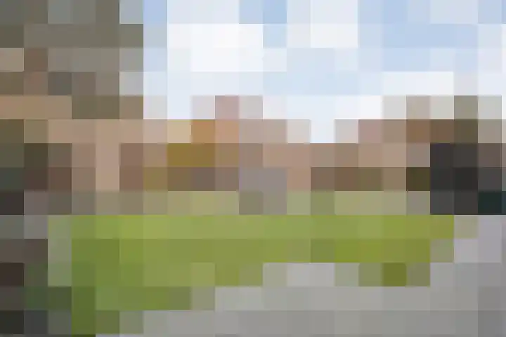 Schakel 7 Coevorden thumbnail 44