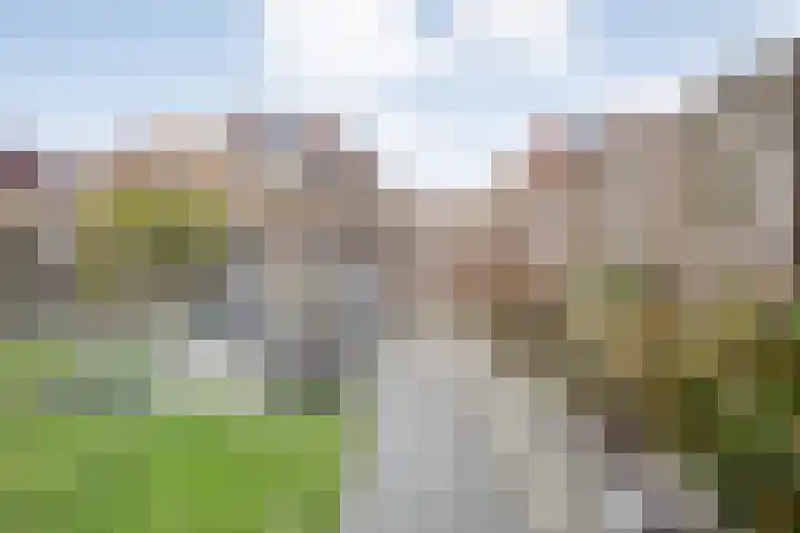 Schakel 7 Coevorden thumbnail 48