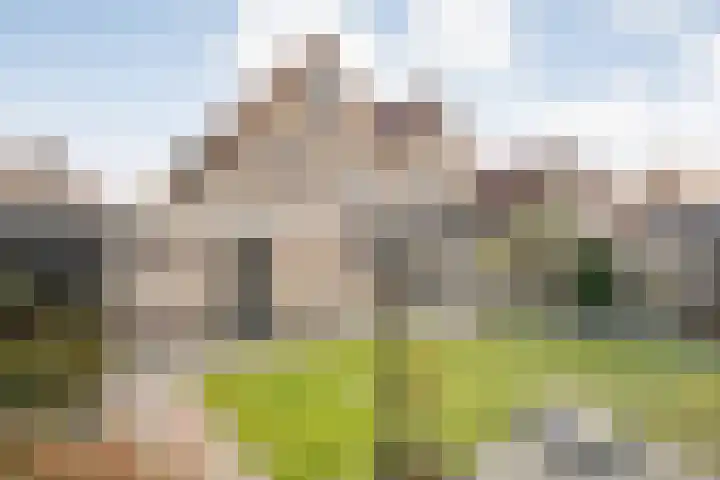 Schakel 7 Coevorden thumbnail 49