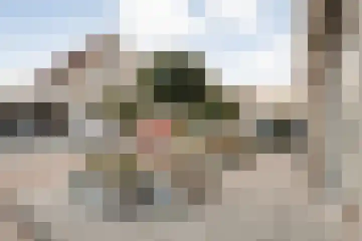 Schakel 7 Coevorden thumbnail 5