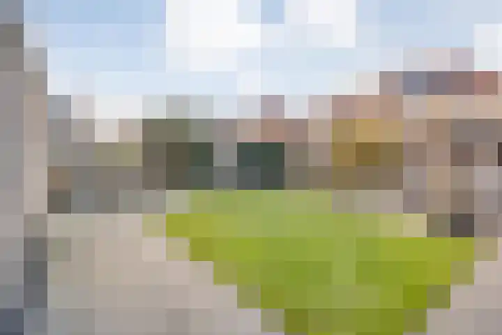 Schakel 7 Coevorden thumbnail 51