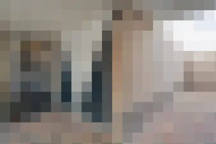 Schakel 7 Coevorden thumbnail 6