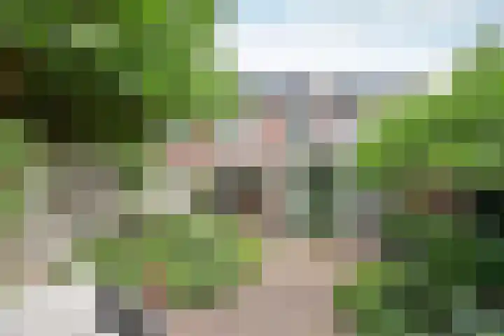 Schakel 96 Loosdrecht thumbnail 20