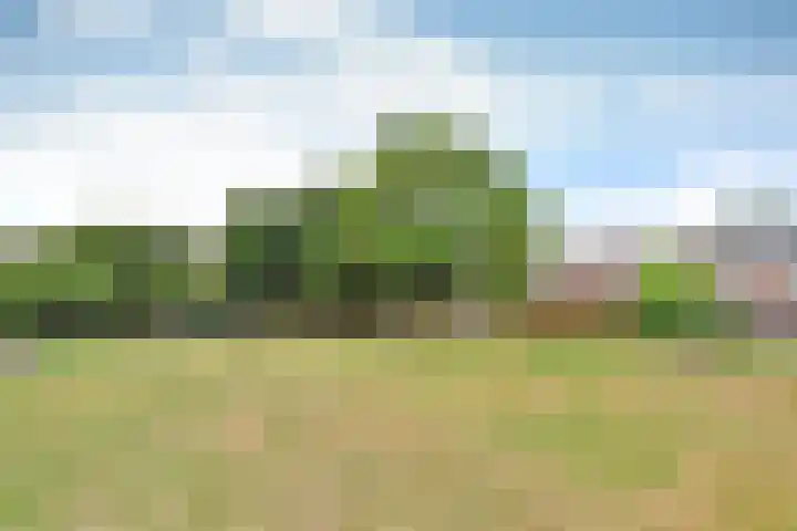 Schakel 96 Loosdrecht thumbnail 22