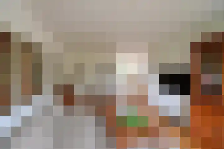 Schakel 96 Loosdrecht thumbnail 4
