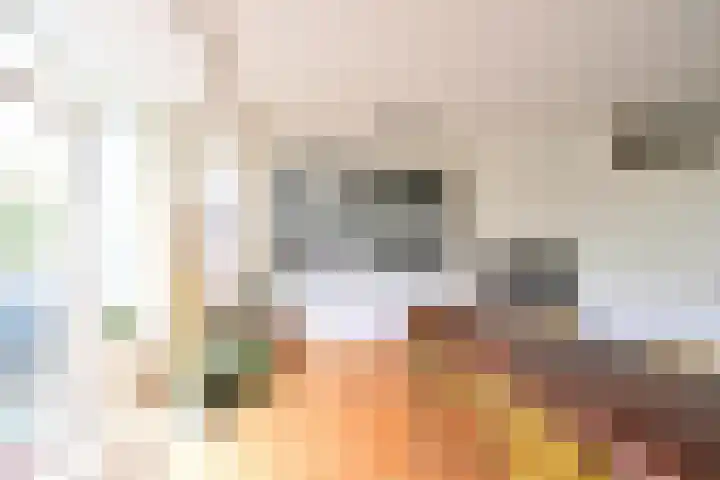 Schakel 96 Loosdrecht thumbnail 7