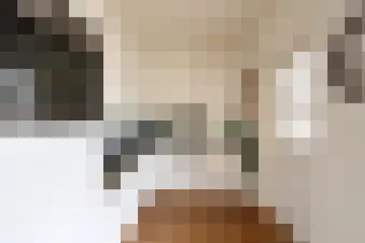 Schakel 96 Loosdrecht thumbnail 8