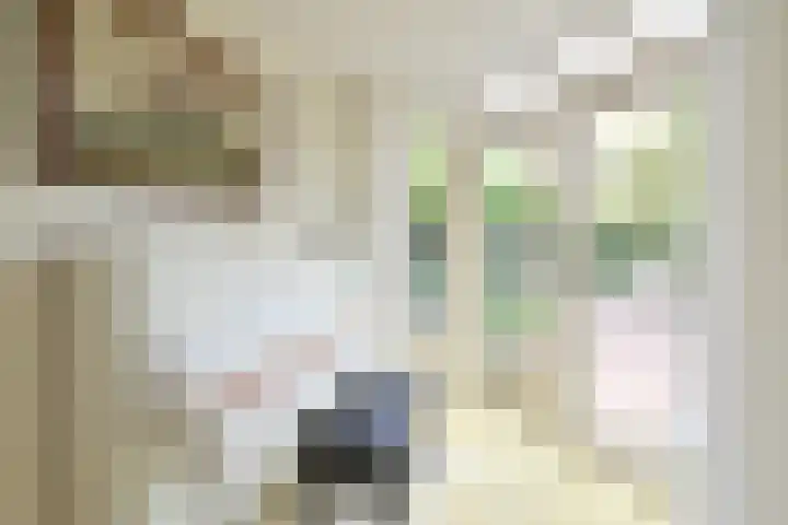 Schakel 96 Loosdrecht thumbnail 9