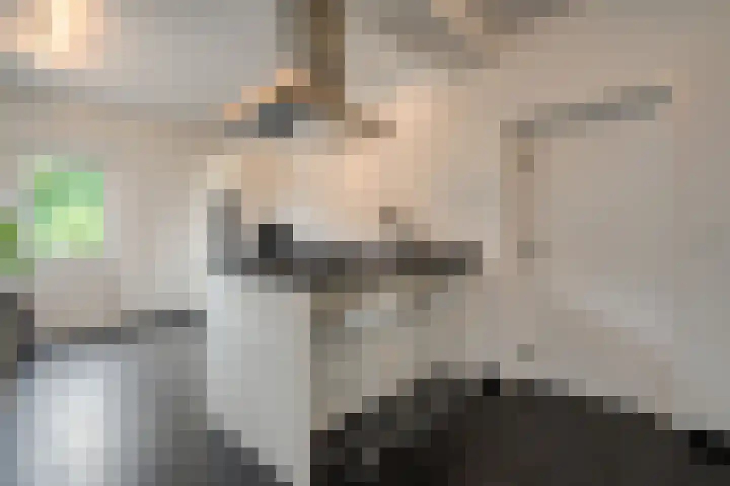 Schakelaarskamp 1 Hattem thumbnail 19