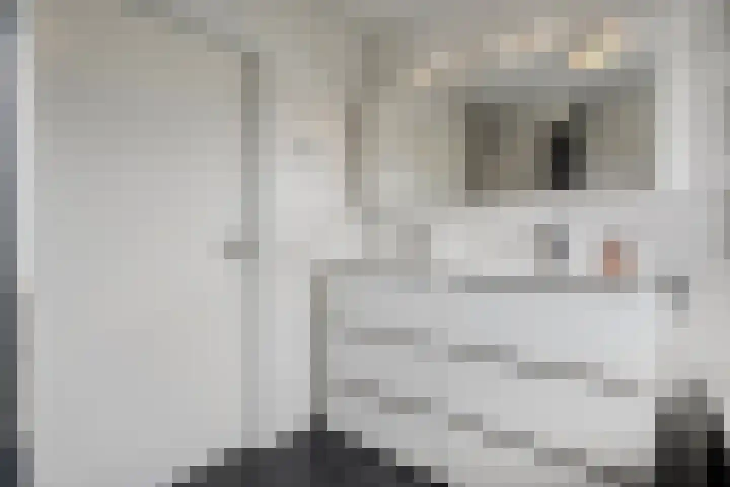 Schakelaarskamp 1 Hattem thumbnail 33