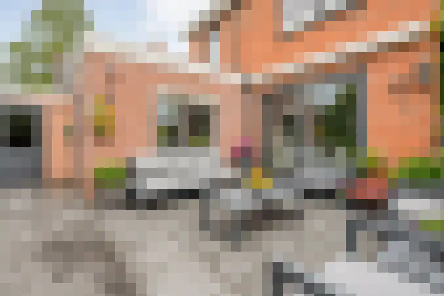Schakelaarskamp 1 Hattem thumbnail 40