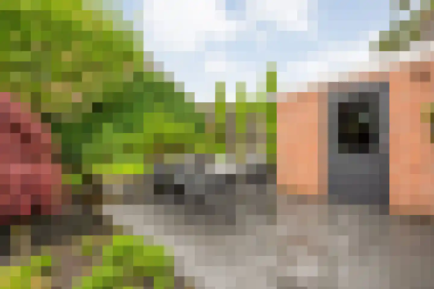 Schakelaarskamp 1 Hattem thumbnail 41