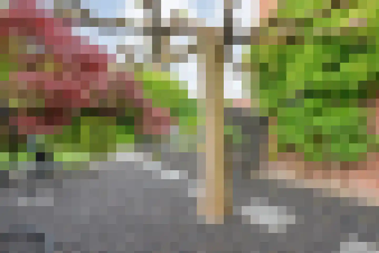 Schakelaarskamp 1 Hattem thumbnail 45