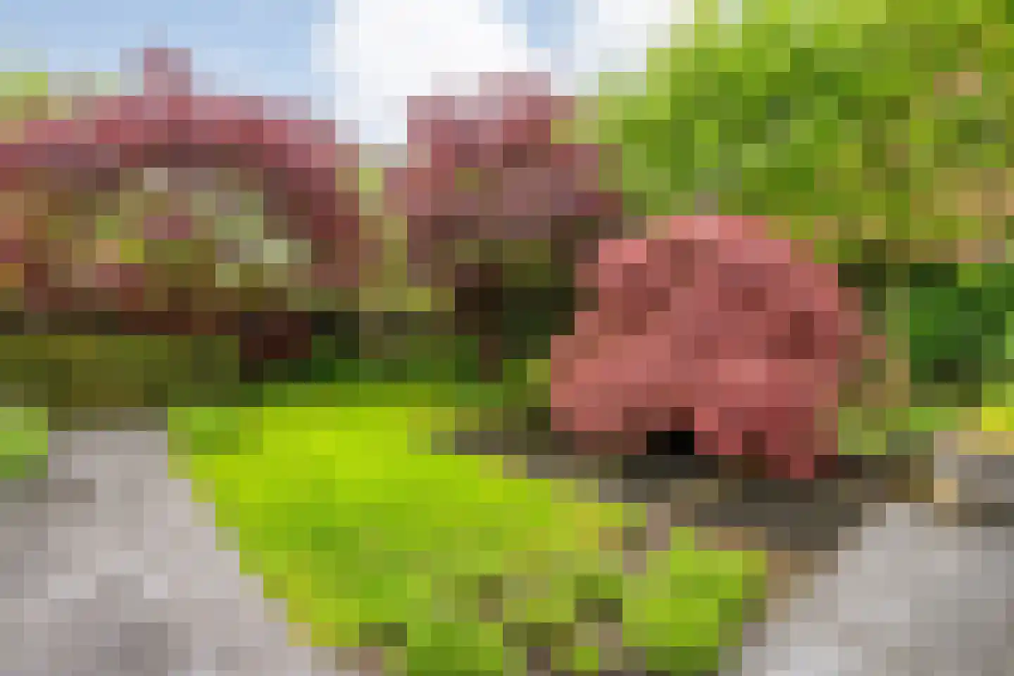Schakelaarskamp 1 Hattem thumbnail 47