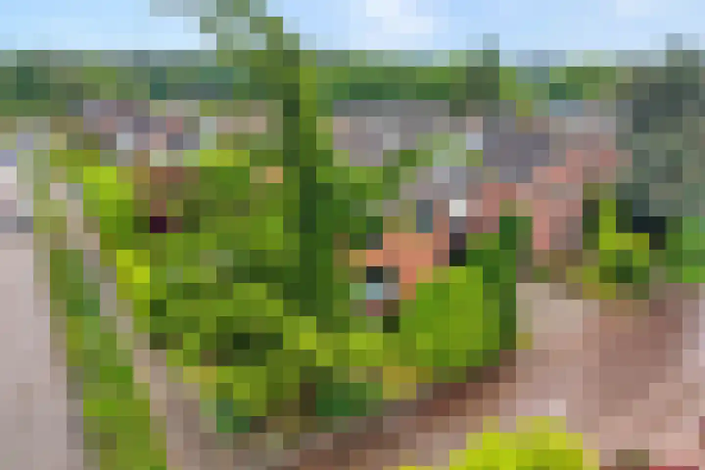 Schakelaarskamp 1 Hattem thumbnail 5