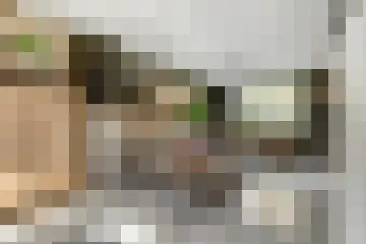 Schakelpad 2 Hoogvliet Rotterdam thumbnail 10