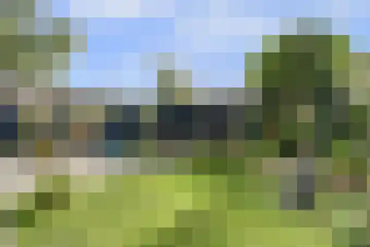 Schakelpad 2 Hoogvliet Rotterdam thumbnail 13