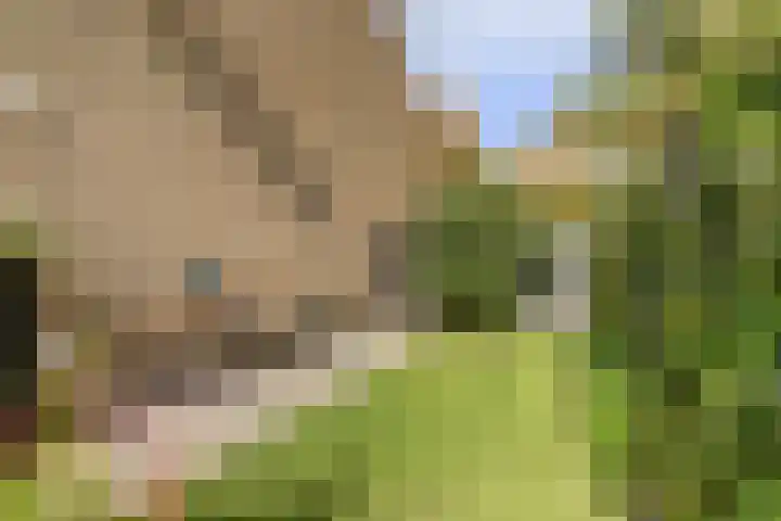 Schakelpad 2 Hoogvliet Rotterdam thumbnail 16