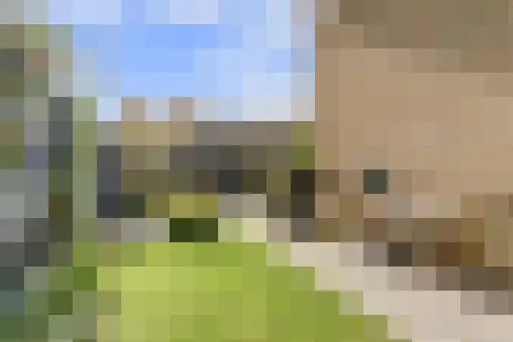 Schakelpad 2 Hoogvliet Rotterdam thumbnail 17