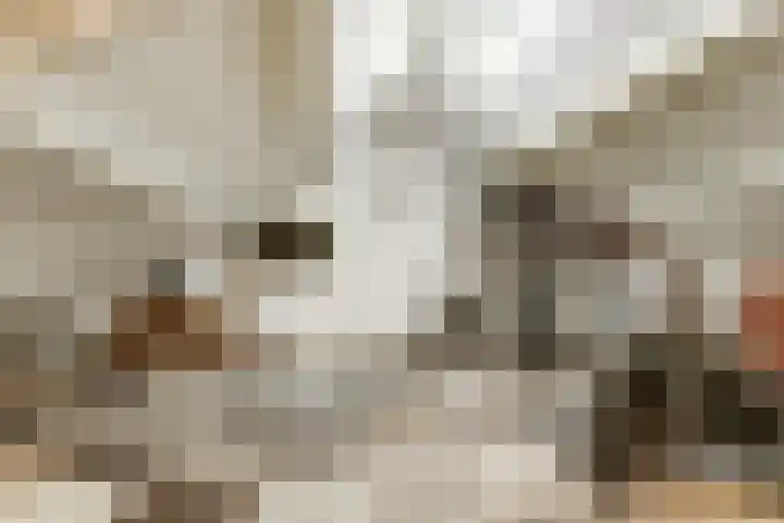 Schakelpad 2 Hoogvliet Rotterdam thumbnail 28